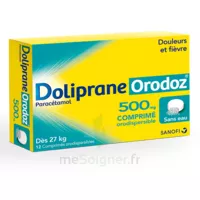 Dolipraneorodoz 500 Mg, Comprimé Orodispersible à PARON